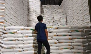 PG Kedawung Giling 32.000 Ton Tebu pada 2016: Semangat Swasembada Gula dari Pasuruan