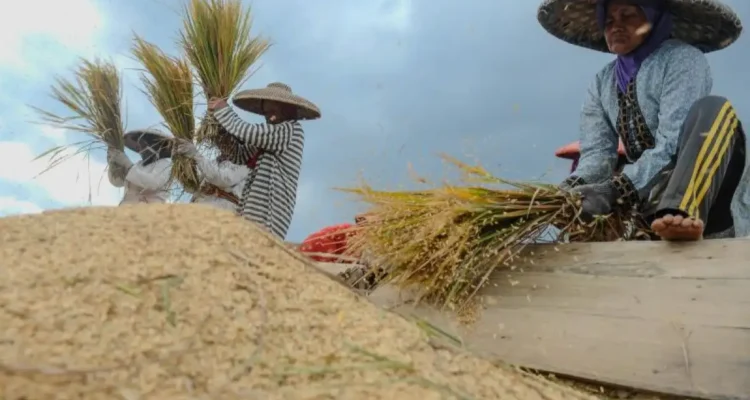 Cara Indonesia Membangun Ketahanan Pangan di Era Modern