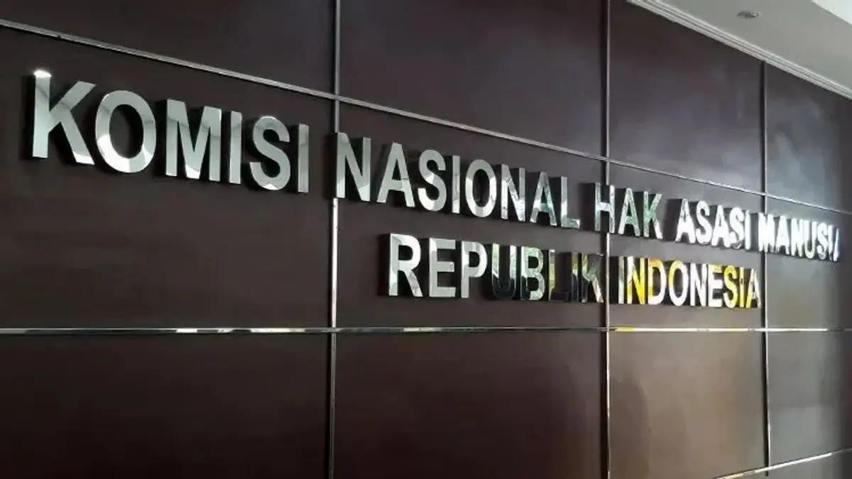 Peran Komnas HAM dalam Melindungi Hak Warga Negara