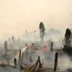 Bencana Karhutla di Kalimantan, Api Gambut dan Kabut Asap yang Mengancam