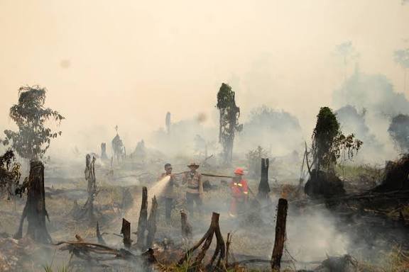 Bencana Karhutla di Kalimantan, Api Gambut dan Kabut Asap yang Mengancam